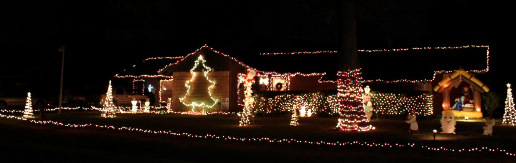 Dorothy Weems - 419 Azalea